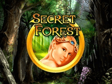 Видео-слот Secret Forest