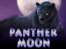 Видео-слот Panther Moon